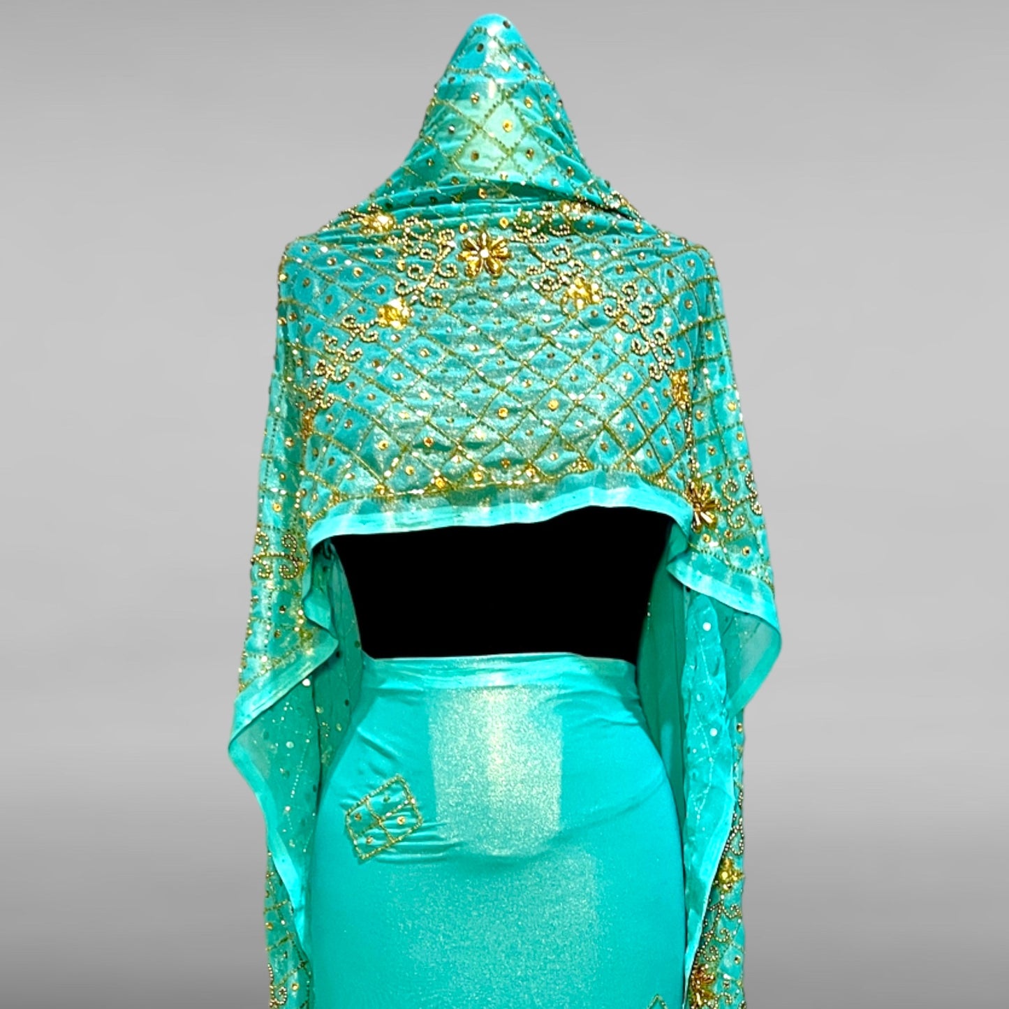 Hisana Toub
